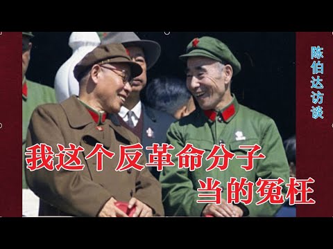 我这个反革命分子，当的冤枉 | 中央文革小组组长陈伯达访谈