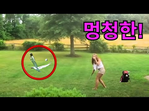 카메라에 포착된 역대급 멍청한 골프 순간들