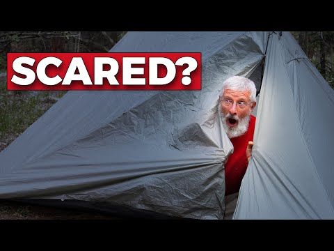 Are You Afraid To Spend The Night Alone In The Woods?