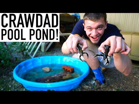 Building a POOL POND with MASSIVE Crawdads!