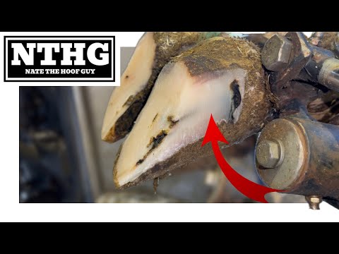 It TRACKED UNDERNEATH the WALL