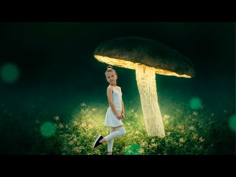 24 ЧАСА В ЛЕСУ