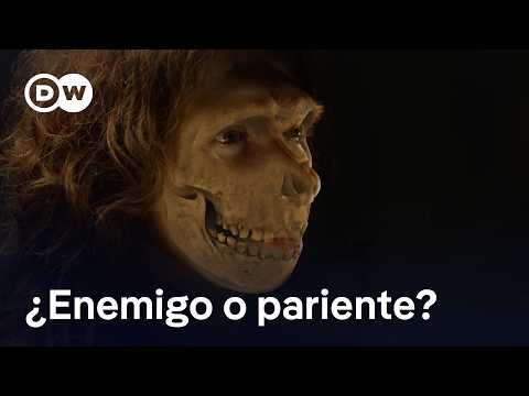 El neandertal y nosotros | DW Documental