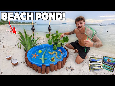 We Built a SALTWATER POND with SEA CREATURES Found on Island!!