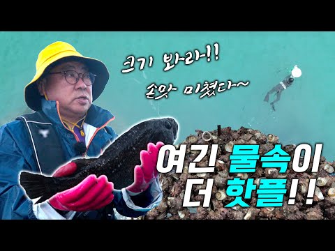 Rockfish at night, sea bass during the day!! What kind of ocean is this? The number of female div...