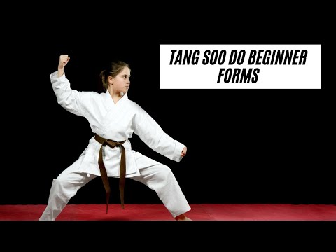 Tang Soo Do Forms Class for White to Orange Belt!