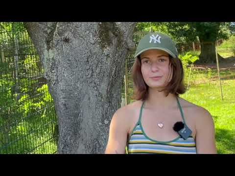 Gnadenhof "Balu's Arche Liebenswert"