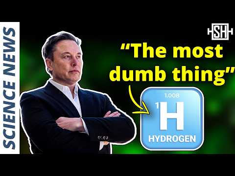 “The most dumb thing" for energy storage: Hydrogen