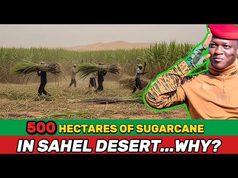 What Really Lies Behind Burkina Faso’s “500 Hectares of Sugarcane” Sahel Plan?
