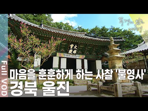 싱그러운 숲의 향기, 가슴속까지 적시는 바다의 몸짓! 산과 바다의 하모니가 들리는 곳 경북 울진으로의 여행 [풍경이 있는 여행 KBS 20090905 방송]