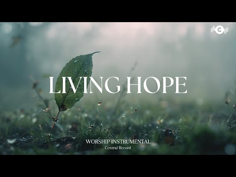 LIVING HOPE - Soaking worship instrumental | Prayer and Devotional