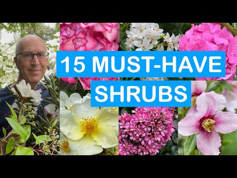 15 MUST-HAVE SHRUBS FOR EVERY GARDEN - SHRUBS YOU'LL LOVE; EVERYONE GROW THESE; SHRUBS FOR POTS