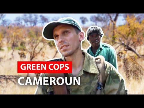 Green Cops, les gardiens de la planète : Cameroun
