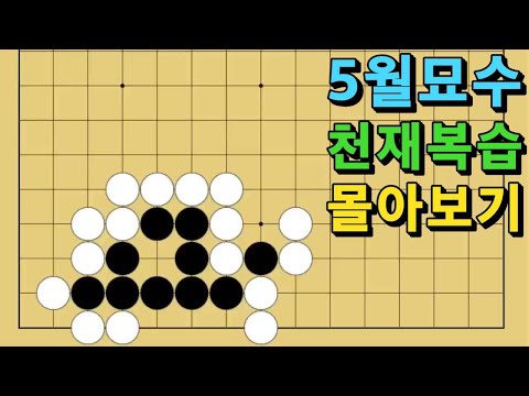 바둑 묘수 사활 - 5월2째주 천재 묘수 몰아보기