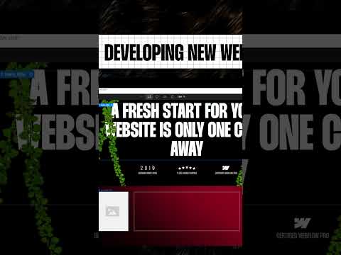 Day in the life | Web designer + Webflow pro