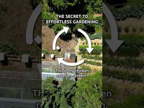 The Secret to Effortless Gardening