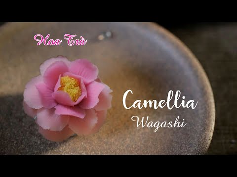 How To Make The Camellia Nerikiri Wagashi
