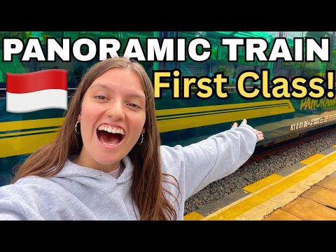 We LOVE Indonesia’s PANORAMIC Train 🇮🇩 Bandung to Yogyakarta Argo Wilis