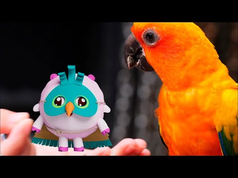 Малышарики —Повторюшка  — серия 276 — Мультфильмы для малышей - попугай