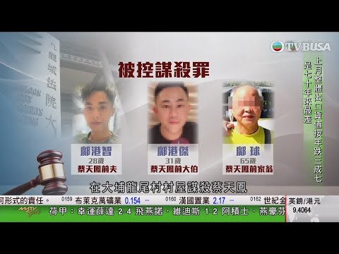 【蔡天鳳碎屍案】蔡天鳳殘肢調查進展 | 被控謀殺的死者前夫鄺港智涉及多宗盜竊案｜TVBUSA｜蔡天鳳｜名媛謀殺案｜新聞