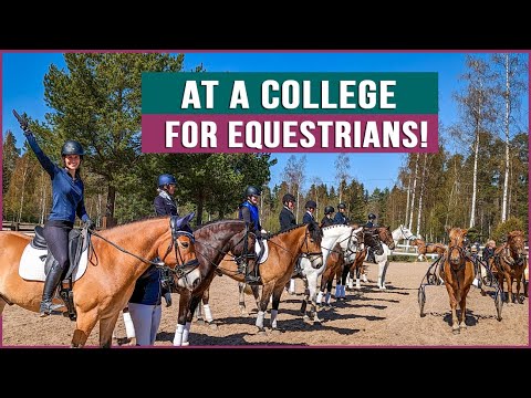 Horse Riding in Finland!