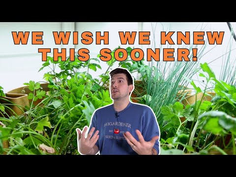 How Long Should Your Grow Lights Be ON Each Day For Best Results