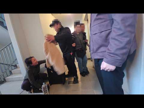 [경매의 민낯 1편] 강제집행 실제현장, 최악의 점유자 | 채무불이행, 로맨스스캠, 공무집행방해, 동물학대/유기, 불법주거침입, 현행범 체포