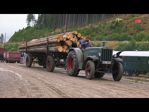 "HANOMAG R 40" im Langholztransport