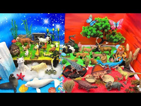 WOW! Explore 4 Animal Worlds: Farm, Wildlife, Dinosaurs & The Arctic ππ¦π¦π§