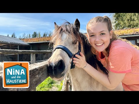 Welsh Pony | Information für Kinder | Nina und die Haustiere