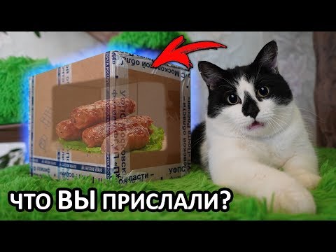 ПОСЫЛКИ и РИСУНКИ от ПОДПИСЧИКОВ **ОНИ ПРОСТО КРУТЫЕ**