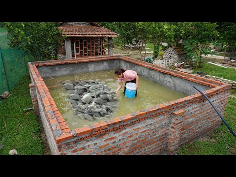 My Travel New Year Holiday 25 Days Building a Turtle Swimming Pool 5000$ - Start to Finish
