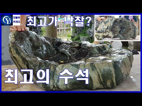 The best stone at the Suiseki auction, sold at the highest price? No bid? Ep. 41: The best stone ...