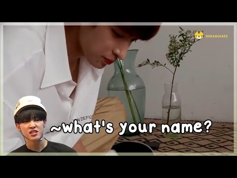 hoshi & dokyeom (seoksoon) funny moments
