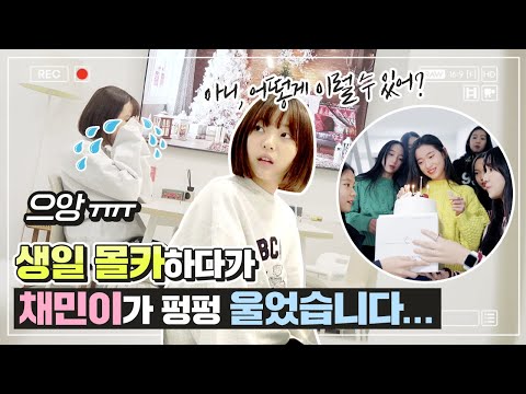 Chaemin cried her eyes out...😢Vitamin members' birthday prank!｜Birthday Experimental Camera｜ClevrTV