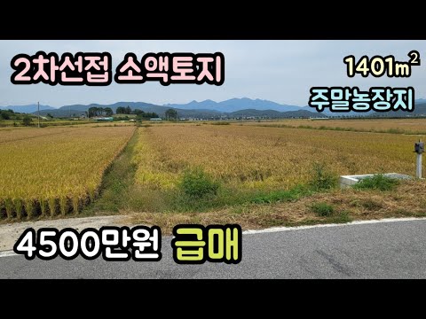 (매물번호14463) 4500만원 보은부동산 1401㎡(424) 보은땅 보은토지매매매물 청주부동산 청주토지 시골땅 촌땅 소액 싼땅 급매 귀농귀촌 주말농장 대전부동산 대전토지