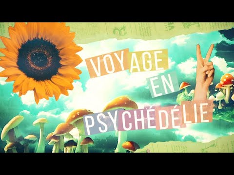 Découverte | Au coeur d'une thérapie psychédélique