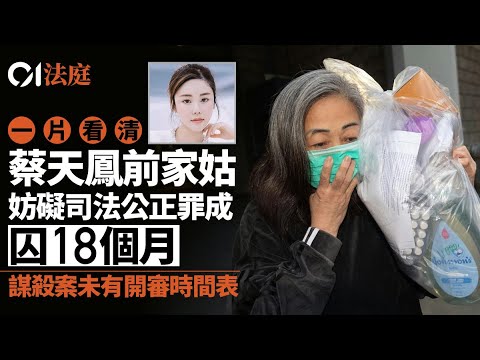 【01法庭】蔡天鳳前家姑案．一片看清｜蔡天鳳與前夫家瓜轕　CCTV記關鍵對話｜謀殺｜奇案｜妨礙司法公正｜AbbyChoi｜01新聞