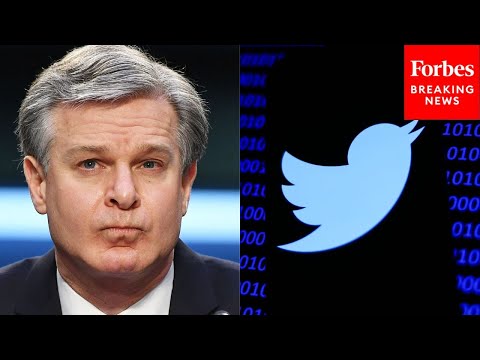‘Bold-Face Denial That Anything Is Wrong’: Former FBI Agent Slams Wray Over Twitter Files Response