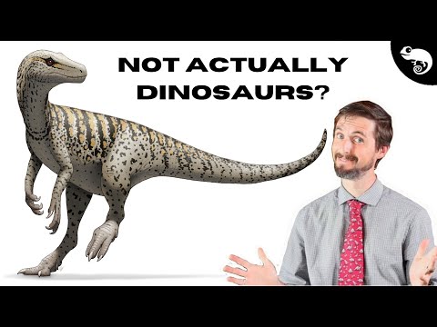 Theropods - The Coolest Things That Ever Lived (and You Hardly Know Anything About Them)