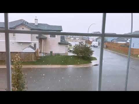 Mixed Snow and Sleet ❄️🌨 Calgary