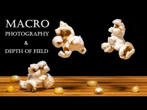 Macro Photography | Depth of Field | with Popcorn using Canon 100 mm f/2.8 | Learnability