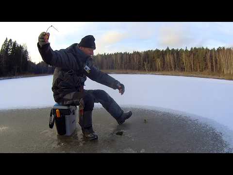 ПЕРВЫЙ ЛЁД 2025-2026. Маленький ГВОЗДИК - любимая МОРМЫШКА. Рыбалка на БЕЗМОТЫЛКУ.