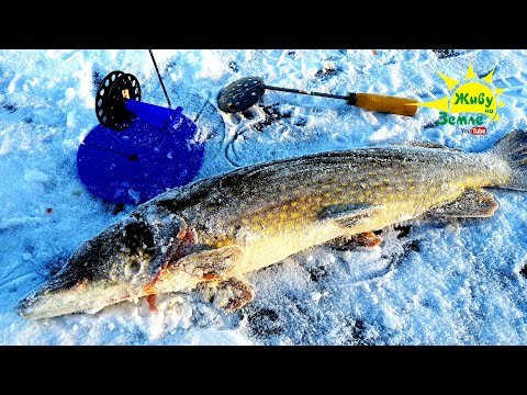 ОСНАЩЕНИЕ ЖЕРЛИЦ. Разница Всё таки Есть. Поводки, груза, крючки.