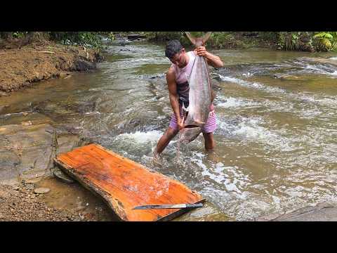 Preparing a BIG FISH in the RIVER on a RAINY day