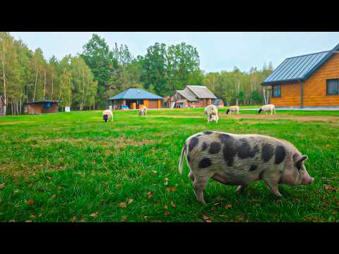 The happy life of a self-sufficient couple with animals in a remote village, far from civilization