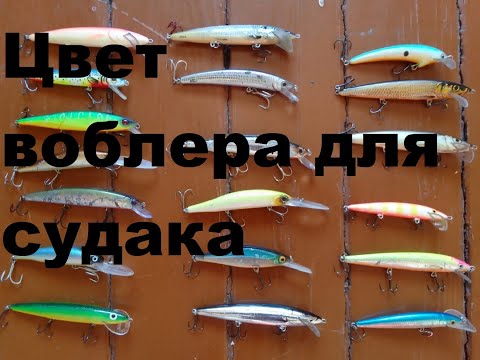 Цвет воблера для верхового судака