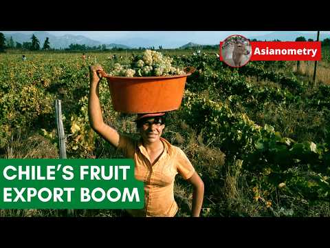 Growing a Fruit Export Boom in Chile
