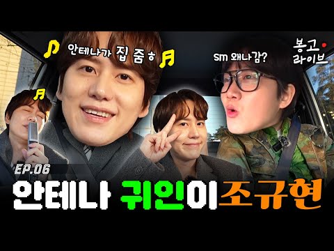 안테나로 굴러온 황금알을 낳는 복덩이 규현 편 | 봉고 라이브 EP.6