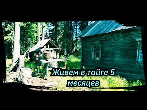 5 Months in the Taiga of the Tym River, Fishing, Bivouac on the Sands. Season 2025. Episode No. 6.
